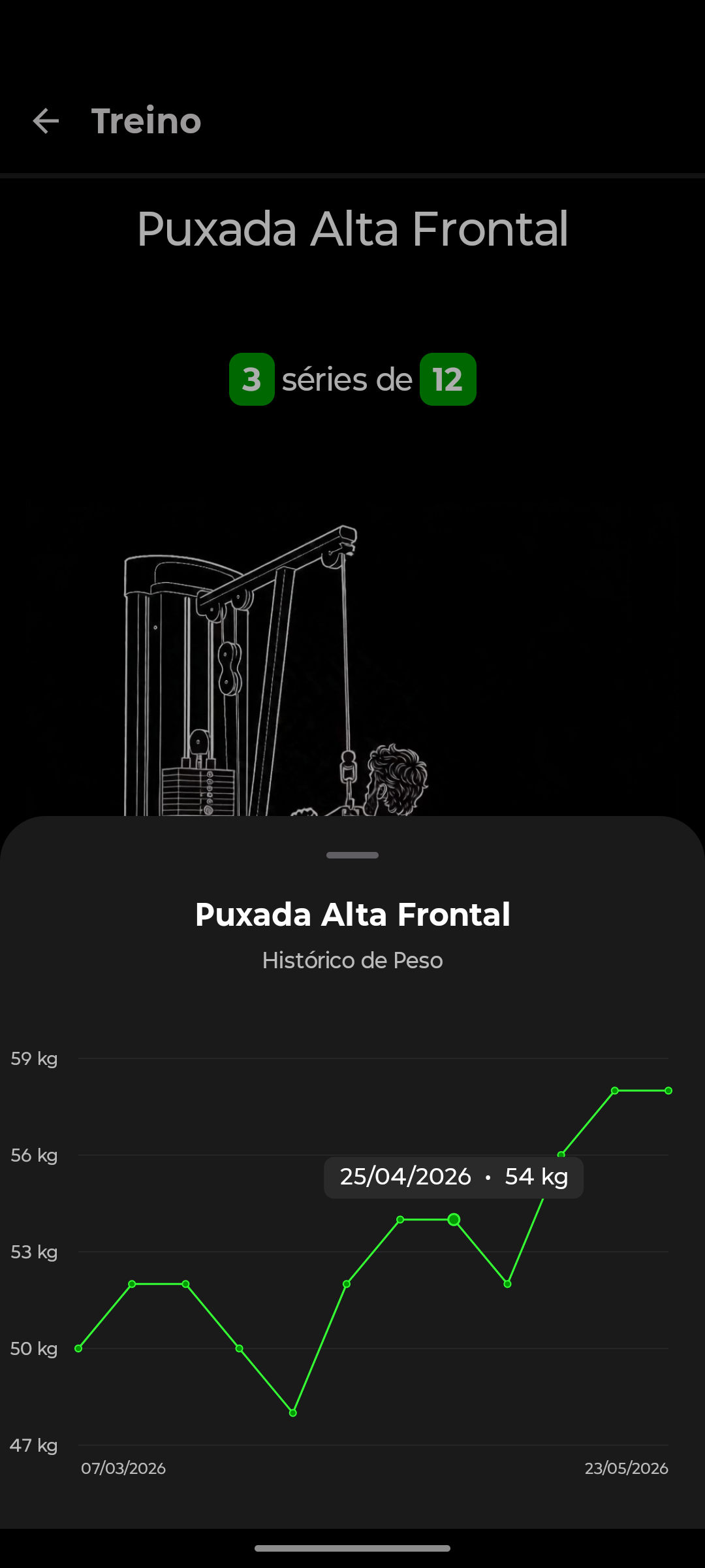 Tela com gráfico de evolução de peso por exercício